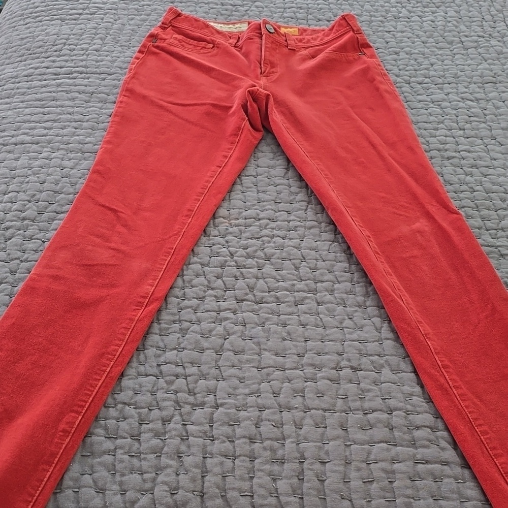Pilcro And The Letterpress Rust Serif Skinny Corduroy Pants - Picture 13 of 15